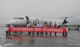 贵阳飞机场爆料案件最新,真相揭秘，疑云重重